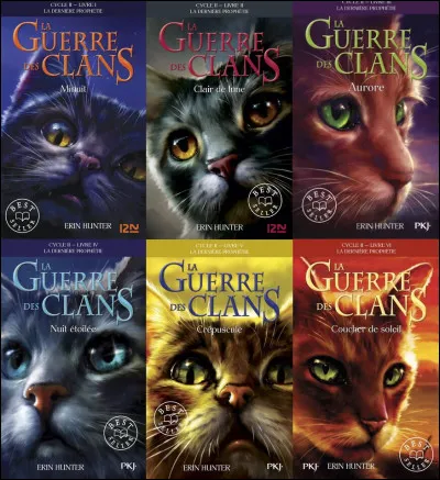 Quel est le nom du tome 4 du cycle 2 de "La Guerre des clans" ?