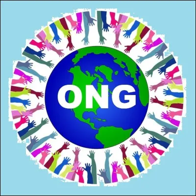 Que veut dire le sigle "ONG" ?
