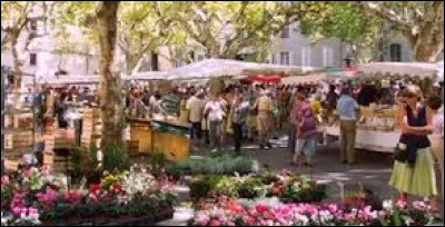 Cette ville est célèbre pour son fameux marché aux herbes. Où sommes-nous ?