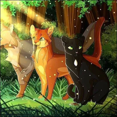 Tu es nommé guerrier.