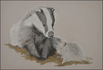 Qui est en vérité Minuit ? (indice dans la question)