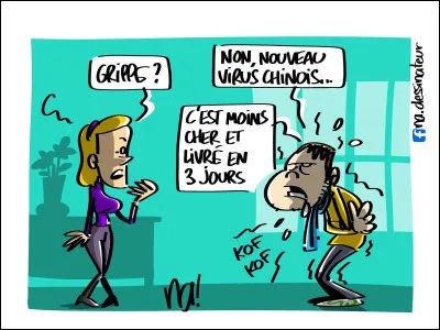 Si je vous dis "Corona Virus", quelle est votre idée ?