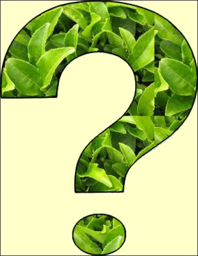 Si je vous dis "Lentille", que répondez-vous ?