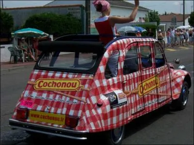 Cette anne, la caravane publicitaire du Tour de France fte ses...