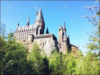 Pour apporter du soutien à un de leurs amis, les Maraudeurs ont réussi à devenir des Animagus. Pour quel ami ont-ils réussi à faire ça et en quoi se transformaient-ils ?