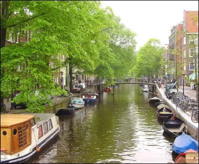 A Amsterdam, il y a des canaux, des fleurs, des drapeaux LGBT et des ... ?