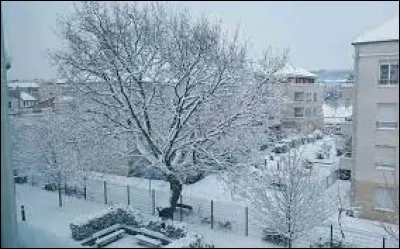 Ville francilienne de la Petite Couronne, Limeil-Brévannes se situe dans le département ...