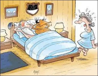 Le principal parasite de la maison qui cause des démangeaisons nocturnes est "la --- de ---" (Cochez 2 réponses pour compléter l'expression)