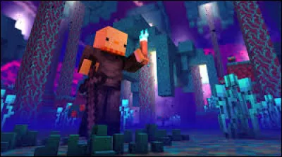 Quelle est votre qualité ?