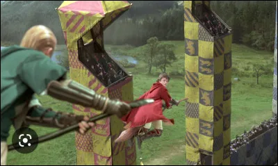 Tu es admis dans l'&eacute;quipe de quidditch de ta maison. Quel poste occupes-tu ?