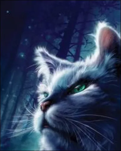 Qui est le chef du Clan du Tonnerre quand Rusty arrive au clan ?