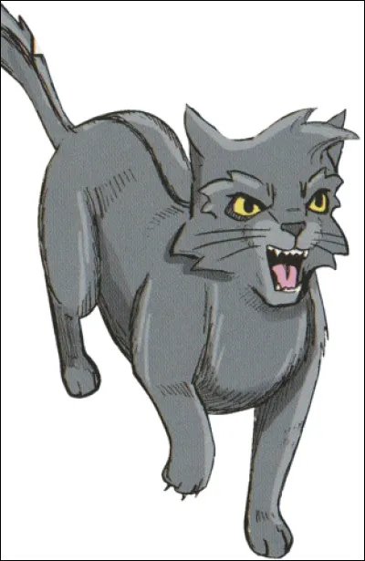 Qui est le premier chat de clan que Rusty rencontre ?