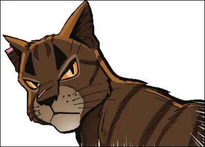 Qui est le meurtrier d'Étoile du Tigre ?