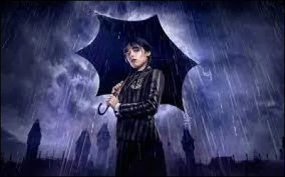 Si tu devais sauver quelqu'un, tu sauverais :