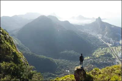 Nature : Comment s'appelle la forêt urbaine qui se trouve au cur de la ville de Rio ?