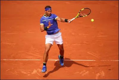 La terre battue est la surface favorite de l'espagnol ?