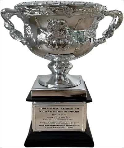 Nadal n'a jamais gagné l'Open d'Australie.