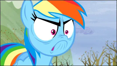 Pourquoi Rainbow Dash est-elle énervée sur cette photo ?