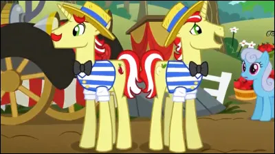 Quelle est la deuxième arnaque des frères Flim Flam ?