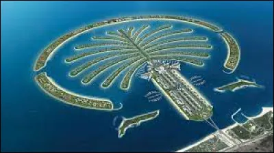 Sport : Quel est le sport le plus populaire &agrave; Duba&iuml; apr&egrave;s le football ?