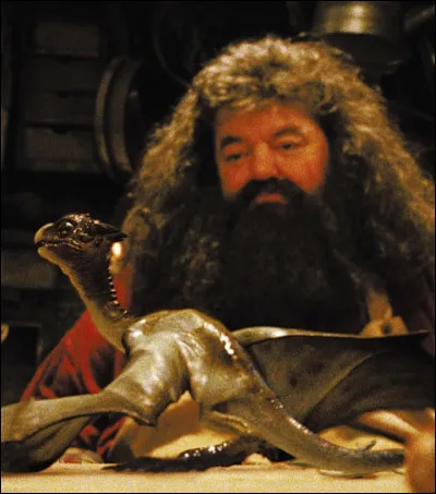 Le dragon que Hagrid élève s'appelle :