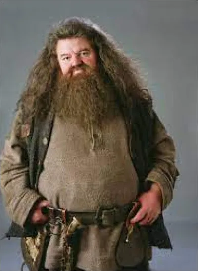 Le prénom de Hagrid est :