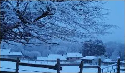 Hameau du Centre-Val-de-Loire dépendant de la commune d'Ivoy-le-Pré, dans l'arrondissement de Vierzon, Bréviande se situe dans le département ...