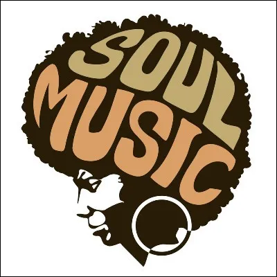 Quel chanteur, surnomm&eacute; le Prince de la Soul, est l�auteur de l�album "What�s Going On" ?