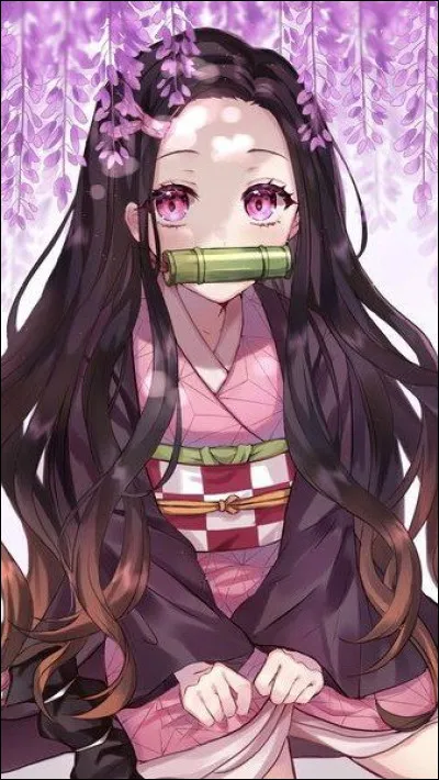 Nezuko est née le 28 décembre. Quel est son signe astrologique ?