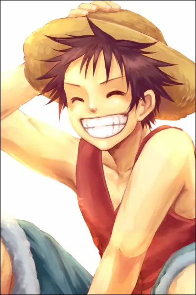 Luffy est né le 5 mai. Quel est son signe astrologique ?