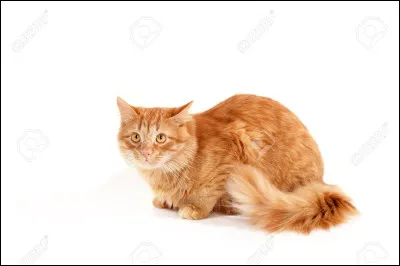 Quel est son nom d'apprenti ?