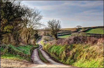 Il a été plusieurs fois blessé dans les tranchées de la Première Guerre mondiale :