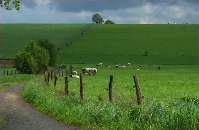 Retrouvez celui qui fut président français !