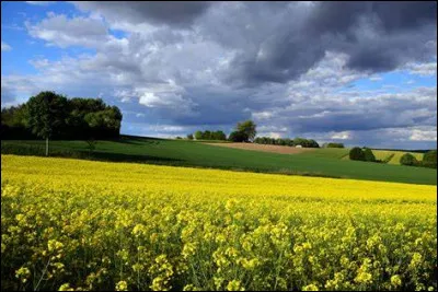 Qui a précédé la reine Elizabeth II à la tête du Royaume-Uni ?