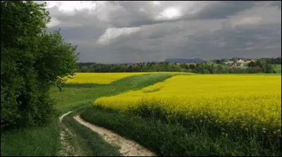 Qui a peint "Le Chaudron" et "La Table de cuisine" ?