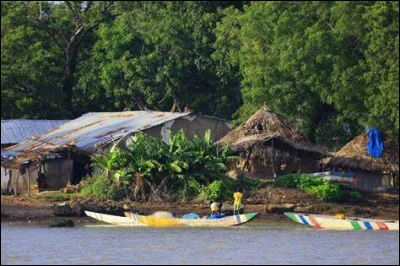 Quelle est la monnaie utilisée en Gambie ?