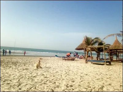 Où Jammeh est-il parti en exil dès 2017 ?