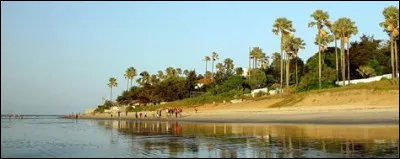 Quand la Constitution en vigueur en 2023 a-t-elle été adoptée ?