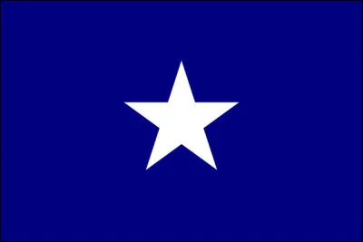Ce ''Bonnie Blue Flag'' du XIXe s. fut l'emblème ... (complétez !)