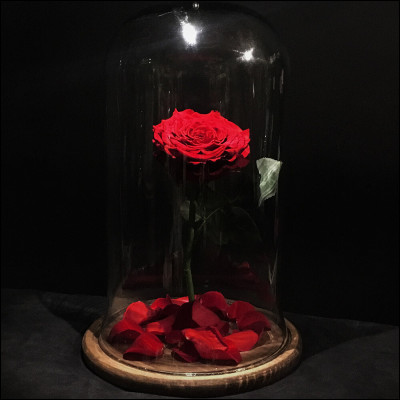 Dans quel film peut-on voir cet objet ?