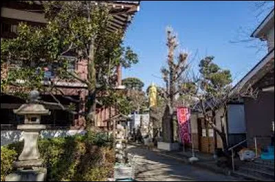 Culture : Quelle est la particularité du quartier Yanaka à Tokyo ?