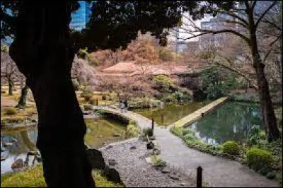 Art : Lequel de ces films ne se déroule pas à Tokyo ?