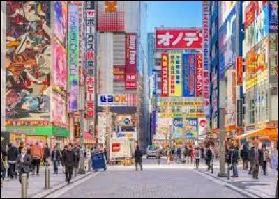 Ville : À quoi est consacré le quartier Akihabara à Tokyo ?