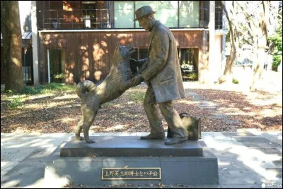 Personnalité : Comment s'appelle ce chien très connu qui a sa statue à Tokyo ?