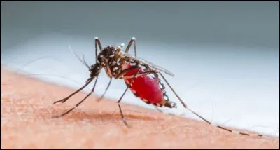 Depuis quelle année l'OMS recommande-t-elle la vaccination des enfants africains contre cette maladie ?