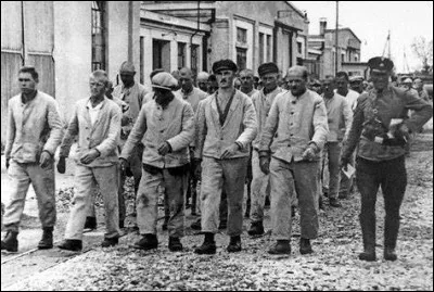 Laquelle de ces maladies va emporter beaucoup de détenus des camps de Dachau ou de Bergen-Belsen alors que les Alliés sont en approche ?