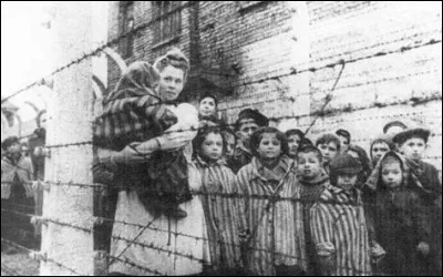 A quels individus les nazis opposent-ils les Juifs victimes de la Shoah ?