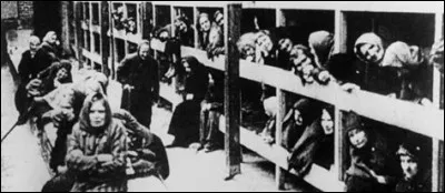 Combien d'individus étaient emprisonnés ensemble dans des camions à gaz pour y être tués ?