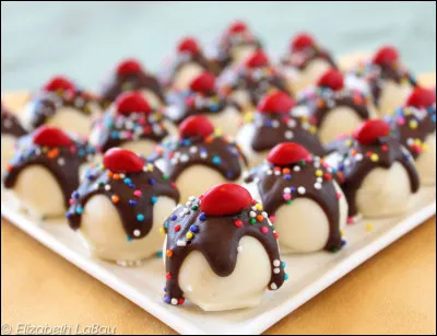 Quel est le traditionnel dessert de Noël ?