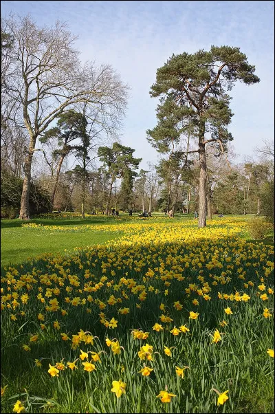 À quelle période de lannée a-t-il lieu ?